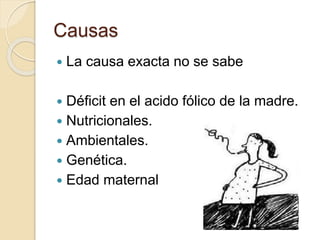 Causas 
 La causa exacta no se sabe 
 Déficit en el acido fólico de la madre. 
 Nutricionales. 
 Ambientales. 
 Genética. 
 Edad maternal 
 