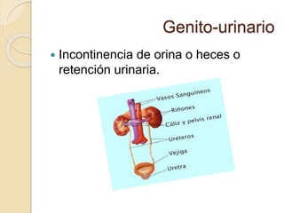 Genito-urinario 
 Incontinencia de orina o heces o 
retención urinaria. 
 