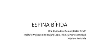 ESPINA BÍFIDA
Dra. Osorio Cruz Selene Beatriz R2MF
Instituto Mexicano del Seguro Social. HGZ 36 Pachuca Hidalgo
Módulo: Pediatría
 