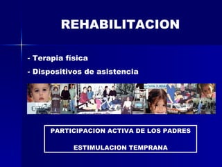 REHABILITACION Terapia física Dispositivos de asistencia PARTICIPACION ACTIVA DE LOS PADRES ESTIMULACION TEMPRANA
