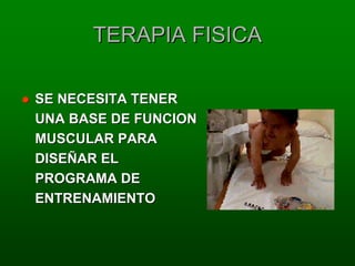 TERAPIA FISICA

SE NECESITA TENER
UNA BASE DE FUNCION
MUSCULAR PARA
DISEÑAR EL
PROGRAMA DE
ENTRENAMIENTO
 