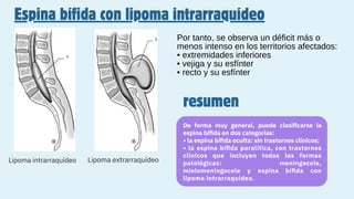 Espina bífida con lipoma intrarraquídeo
Por tanto, se observa un déficit más o
menos intenso en los territorios afectados:
• extremidades inferiores
• vejiga y su esfínter
• recto y su esfínter
Lipoma intrarraquídeo Lipoma extrarraquídeo
resumen
De forma muy general, puede clasiﬁcarse la
espina bíﬁda en dos categorías:
• la espina bíﬁda oculta: sin trastornos clínicos;
• la espina bíﬁda paralítica, con trastornos
clínicos que incluyen todas las formas
patológicas: meningocele,
mielomeningocele y espina bíﬁda con
lipoma intrarraquídeo.
 