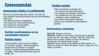 Consecuencias
Consecuencias distales a la malformación
Afectan a la parte baja del cuerpo. Se trata de:
• las parálisis sensitivomotoras de las extremidades
inferiores;
• las deformaciones ortopédicas;
• los trastornos vesicoesfinterianos;
• los trastornos anorrectales;
• los trastornos sexuales;
Parálisis sensitivomotoras de las
extremidades inferiores
Parálisis motora
Parálisis sensitiva
• psoas/glúteo mayor para la cadera
en el plano sagital; • aductores/glúteo
medio para la cadera en el plano
frontal; • cuádriceps/isquiotibiales para
la rodilla; • tibial anterior/tríceps para el
tobillo, etc
Debe recordarse el peligro de:
• la marcha con pies descalzos;
• los zapatos demasiado estrechos;
• los problemas con las ortesis;
• sentarse sobre radiadores;
• los baños demasiado calientes
(riesgo muy elevado de quemaduras
graves).
Deformaciones ortopédicas
Nivel S2: Riesgos menores.
Nivel S1: Déficits en el tríceps y tibial posterior pueden
causar pie talo, pie valgo o ambos. Además, déficit del
glúteo mayor puede resultar en flexo de cadera y
compensar con hiperlordosis lumbar.
Nivel L5: El pie tiende a talo debido al tibial anterior. La
cadera en flexo por déficit del glúteo mayor, riesgo de coxa
valga y luxación.
 