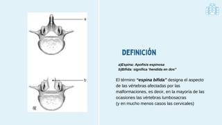 Definición
a)Espina: Apofisis espinosa
b)Bífida: significa ‘hendida en dos”
El término “espina bífida” designa el aspecto
de las vértebras afectadas por las
malformaciones, es decir, en la mayoría de las
ocasiones las vértebras lumbosacras
(y en mucho menos casos las cervicales)
 