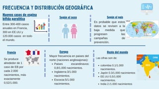 Según el sexo
Frecuencia y distribución geográfica
Entre 300-400 casos
anuales en Francia,
300 en EE.UU y
120.000 casos en todo
el mundo.
Nuevos casos de espina
bífida paralítica Según el país
Es probable que estos
datos se revisen a la
baja medida que
progresen las
campañas de
prevención.
Francia Europa Resto del mundo
Se produce
alrededor de 1
caso de EB por
cada 2.000
nacimientos, más
exactamente
0,52/1.000.
Mayor frecuencia en paises del
norte (naciones anglosajonas):
Paises escandinavos:
0,8/1.000 nacimientos.
Inglaterra:3/1.000
nacimientos.
Escocia:5/1.000
nacimientos.
Las cifras son de:
colombia 0.1/1.000
nacimientos.
Japón 0.3/1.000 nacimientos
EE.UU 0,5/1.000
nacimientos.
India 2./1.000 nacimientos
 