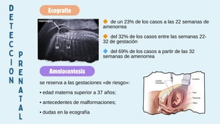 Ecografía
Amniocentesis
D
E
T
E
C
C
I
O
N
P
R
E
N
A
T
A
L
🔶 de un 23% de los casos a las 22 semanas de
amenorrea
🔶 del 32% de los casos entre las semanas 22-
32 de gestación
🔷 del 69% de los casos a partir de las 32
semanas de amenorrea
se reserva a las gestaciones «de riesgo»:
• edad materna superior a 37 años;
• antecedentes de malformaciones;
• dudas en la ecografía
 