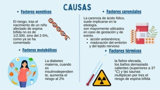 Causas
Factores genéticos Factores carenciales
Factores metabólicos Factores térmicos
La diabetes
materna, cuando
es
insulinodependien
te, aumenta el
riesgo al 2%
El riesgo, tras el
nacimiento de un niño
afectado de espina
bífida no es de
1/2.000, sino del 2-5%,
como ya se ha
comentado
La carencia de ácido fólico,
suele implicarse en la
etiología.
son mayormente utilizados
en caso de gestación y de
estrés.
acción antianémica;
maduración del embrión
y del tejido nervioso
la fiebre elevada,
los baños demasiado
calientes (superiores a 37
°C) y las saunas
multiplican por tres el
riesgo de espina bífida
 