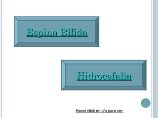 Espina Bífida Hidrocefalia Hacer click en c/u para ver. 