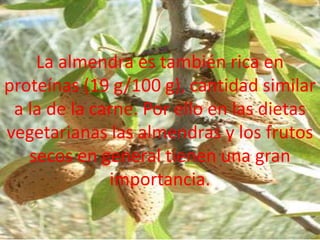 La almendra es también rica en proteínas (19 g/100 g), cantidad similar a la de la carne. Por ello en las dietas vegetarianas las almendras y los frutos secos en general tienen una gran importancia. 