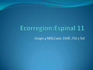 Ecorregion:Espinal 11 Grupo 4 Mili,Cami ,Delfi ,Titi y Sol  