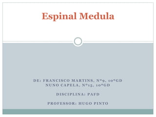 Espinal Medula 
DE: FRANCISCO MARTINS, Nº9, 10ºGD 
NUNO CAPELA, Nº 1 5 , 10ºGD 
DISCIPLINA: PAFD 
PROFESSOR: HUGO PINTO 
 