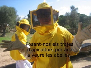 Posant-nos els trajes
 d’apicultors per anar
 a veure les abelles
 