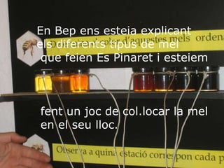 En Bep ens esteia explicant
els diferents tipus de mel
 que feien Es Pinaret i esteiem



fent un joc de col.locar la mel
en el seu lloc.
 