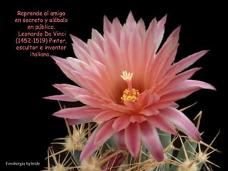 Ferobergia hybride Reprende al amigo en secreto y alábalo en público. Leonardo Da Vinci (1452-1519) Pintor, escultor e inventor italiano.  