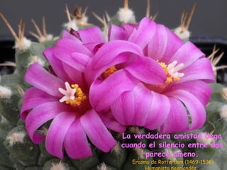 La verdadera amistad llega
cuando el silencio entre dos
parece ameno.
Erasmo de Rotterdam (1469-1536)
Humanista neerlandés.
 