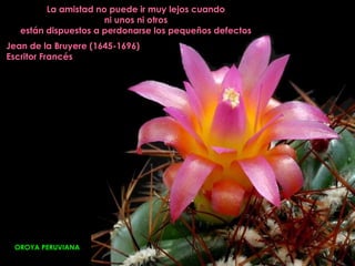 La amistad no puede ir muy lejos cuando
                      ni unos ni otros
   están dispuestos a perdonarse los pequeños defectos
Jean de la Bruyere (1645-1696)
Escritor Francés




 OROYA PERUVIANA
 