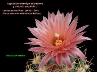 Reprende al amigo en secreto
        y alábalo en público
Leonardo Da Vinci (1452-1519)
Pintor, escultor e inventor italiano




   FEROBERGIA HYBRIDE
 