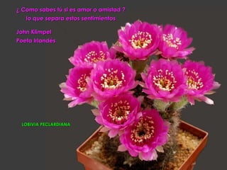 ¿ Como sabes tú si es amor o amistad ?
   lo que separa estos sentimientos

John Klimpel
Poeta Irlandés




 LOBIVIA PECLARDIANA
 