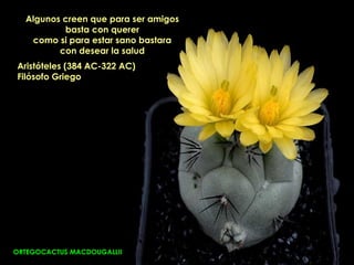 Algunos creen que para ser amigos
          basta con querer
   como si para estar sano bastara
         con desear la salud
Aristóteles (384 AC-322 AC)
Filósofo Griego




ORTEGOCACTUS MACDOUGALLII
 