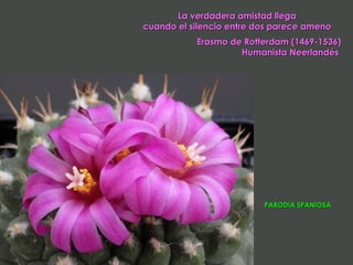 La verdadera amistad llega
cuando el silencio entre dos parece ameno
           Erasmo de Rotterdam (1469-1536)
                    Humanista Neerlandés




                          PARODIA SPANIOSA
 