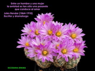 Entre un hombre y una mujer
  la amistad es tan sólo una pasarela
          que conduce al amor
Jules Rendar (1864-1910)
Escritor y dramaturgo




   ESCOBARIA MINIMA
 