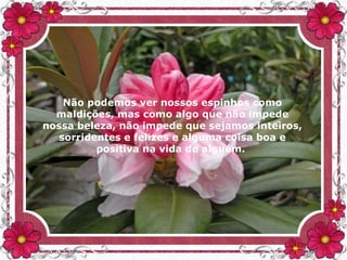 Não podemos ver nossos espinhos como
maldições, mas como algo que não impede
nossa beleza, não impede que sejamos inteiros,
sorridentes e felizes e alguma coisa boa e
positiva na vida de alguém.
 