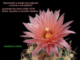 FEROBERGIA HYBRIDE
Repreende o amigo em segredo
e louva-o em público
Leonardo Da Vinci (1452-1519)
Pintor, escultor e inventor italiano
 