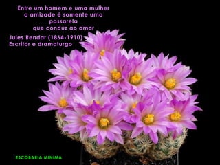 ESCOBARIA MINIMA
Entre um homem e uma mulher
a amizade é somente uma
passarela
que conduz ao amor
Jules Rendar (1864-1910)
Escritor e dramaturgo
 