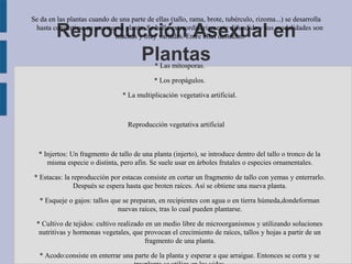 Se da en las plantas cuando de una parte de ellas (tallo, rama, brote, tubérculo, rizoma...) se desarrolla

         Reproducción Asexual en
 hasta convertirse en una nueva planta. Se halla extraordinariamente difundida y sus modalidades son
                             muchas y muy variadas. Entre ellas destacan:


                Plantas                     * Las mitosporas.

                                            * Los propágulos.

                                 * La multiplicación vegetativa artificial.



                                   Reproducción vegetativa artificial



  * Injertos: Un fragmento de tallo de una planta (injerto), se introduce dentro del tallo o tronco de la
     misma especie o distinta, pero afin. Se suele usar en árboles frutales o especies ornamentales.

 * Estacas: la reproducción por estacas consiste en cortar un fragmento de tallo con yemas y enterrarlo.
                Después se espera hasta que broten raíces. Así se obtiene una nueva planta.

  * Esqueje o gajos: tallos que se preparan, en recipientes con agua o en tierra húmeda,dondeforman
                              nuevas raíces, tras lo cual pueden plantarse.

 * Cultivo de tejidos: cultivo realizado en un medio libre de microorganismos y utilizando soluciones
  nutritivas y hormonas vegetales, que provocan el crecimiento de raíces, tallos y hojas a partir de un
                                         fragmento de una planta.

  * Acodo:consiste en enterrar una parte de la planta y esperar a que arraigue. Entonces se corta y se
 