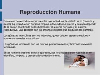 Reproducción Humana
Esta clase de reproducción se da entre dos individuos de distinto sexo (hombre y
mujer). La reproducción humana emplea la fecundación interna y su éxito depende
de la acción coordinada de las hormonas, el sistema nervioso y el sistema
reproductivo. Las gónadas son los órganos sexuales que producen los gametos.

Las gónadas masculinas son los testiculos, que producen espermatozoides y
hormonas sexuales masculinas.

Las gónadas femeninas son los ovarios, producen óvulos y hormonas sexuales
femeninas.

El ser humano presenta sexos separados, por lo tanto es dioico. Además es un
mamífero, vivíparo, y presenta fecundación interna.
 