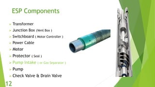 Esp installation | PDF