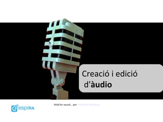 Creació i edició
                       d'àudio

Hold for sound... por Profound Whatever
 