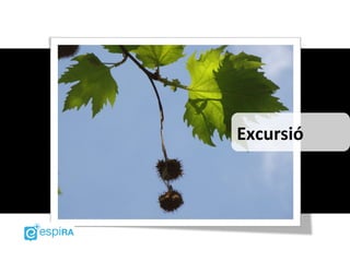 Excursió
 