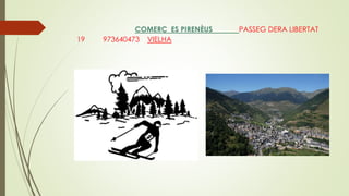 COMERÇ ES PIRENÈUS PASSEG DERA LIBERTAT
19 973640473 VIELHA
 