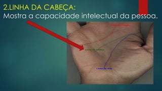 2.LINHA DA CABEÇA:
Mostra a capacidade intelectual da pessoa.

 