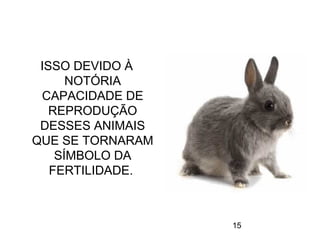 15
ISSO DEVIDO À
NOTÓRIA
CAPACIDADE DE
REPRODUÇÃO
DESSES ANIMAIS
QUE SE TORNARAM
SÍMBOLO DA
FERTILIDADE.
 