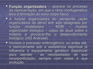  Função organizadoraFunção organizadora – aparece no processo– aparece no processo
da reencarnação, em que o ritmo morfogenéticoda reencarnação, em que o ritmo morfogenético
leva à formação do novo corpo físico.leva à formação do novo corpo físico.
 A função organizadora do perispírito (açãoA função organizadora do perispírito (ação
organizadora da alma) tem sido designada pororganizadora da alma) tem sido designada por
função modeladora – MOB – modelofunção modeladora – MOB – modelo
organizador biológico – capaz de atuar sobre aorganizador biológico – capaz de atuar sobre a
matéria e provocar-lhe o desenvolvimentomatéria e provocar-lhe o desenvolvimento
biológico. (HG Andrade).biológico. (HG Andrade).
 Iniciado o processo embriogênico, ou antes até,Iniciado o processo embriogênico, ou antes até,
o reencarnante sob a assistência espiritual jáo reencarnante sob a assistência espiritual já
influencia o equipamento genético disponívelinfluencia o equipamento genético disponível
para atender as necessidades de suapara atender as necessidades de sua
recorporificação, sempre com vistas à suarecorporificação, sempre com vistas à sua
evolução.evolução.
 