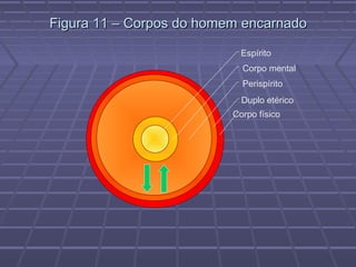 Figura 11 – Corpos do homem encarnadoFigura 11 – Corpos do homem encarnado
Corpo físico
Duplo etérico
Perispírito
Corpo mental
Espírito
 