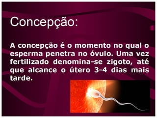 CodificaçãoCodificação
EspíritaEspírita
 