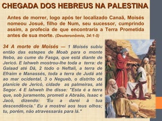 CHEGADA DOS HEBREUS NA PALESTINACHEGADA DOS HEBREUS NA PALESTINA
Antes de morrer, logo após ter localizado Canaã, Moisés
nomeou Josué, filho de Num, seu sucessor, cumprindo
assim, a profecia de que encontraria a Terra Prometida
antes de sua morte. (Deuteronômio, 34:1-5)
34 A morte de Moisés — 1 Moisés subiu
então das estepes de Moab para o monte
Nebo, ao cume do Fasga, que está diante de
Jericó. E Iahweh mostrou-lhe toda a terra: de
Galaad até Dã, 2 todo o Neftali, a terra de
Efraim e Manassés, toda a terra de Judá até
ao mar ocidental, 3 o Negueb, o distrito da
planície de Jericó, cidade as palmeiras, até
Segor. 4 E Iahweh lhe disse: "Esta é a terra
que, sob juramento, prometi a Abraão, Isaac e
Jacó, dizendo: 'Eu a darei à tua
descendência.' Eu a mostrei aos teus olhos;
tu, porém, não atravessarás para lá."
 
