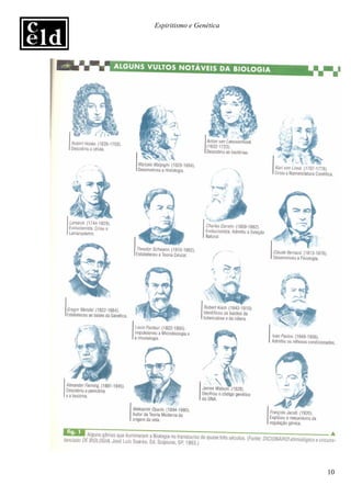 Espiritismo e Genética




                         10
 