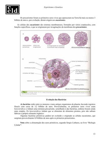 Espiritismo e Genética




       Os procariontes foram os primeiros seres vivos que apareceram na Terra há mais ou menos 3
bilhões de anos e, por evolução, deram origem aos eucariontes.

   As células dos eucariontes são sistemas membranosos, formados por vários corpúsculos, com
funções específicas, e que se originaram por invaginações da membrana dos procariontes.




                                       Evolução das Bactérias

        As bactérias estão entre os menores e mais antigos organismos do planeta, havendo registros
fósseis com cerca de 3,2 bilhões de anos. Provavelmente, os primeiros seres vivos eram
heterotróficos e tinham uma estrutura procarionte, semelhante à das bactérias, embora fossem ainda
mais simples. Os heterotróficos tinham que se alimentar de alimentos prontos, pois não sabiam
fabricar o próprio alimento orgânico.
        Algumas bactérias primitivas podem ter evoluído e originado as células eucariontes, que
surgiram provavelmente l,8 bilhões de anos após os primeiros procariontes.

       Nota sobre a alimentação dos seres primitivos, segundo Sergio Linhares, no livro “Biologia
Celular”:



                                                                                                13
 