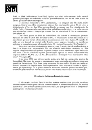 Espiritismo e Genética




DNA ou ADN (ácido desoxirribonuclêico) significa algo ainda mais complexo: todo material
genético que compõe um ser humano e que fica guardado dentro de cada um dos vários trilhões de
células que o corpo de um adulto possui.
        Se quisermos representar o DNA graficamente, é só imaginar uma fita muito, muito
comprida. Para ter uma idéia, se juntarmos todas as fitas, seu tamanho será de 50 mil vezes a
distância entre a Terra e a Lua! Claro que essa fita não tem espaço para ficar esticada dentro da
célula. Então a Natureza resolveu enrolá-la toda e quebrá-la em pedacinhos – e, se a observarmos
num microscópio potente, a imagem que veremos é de um montinho de X. São os cromossomos.
(Ver página 26).
        Cada célula possui 23 pares de cromossomos, que contêm as informações genéticas
herdadas, em forma de DNA. Para desvendar o DNA, os pesquisadores tiveram de desenrolá-lo. E
descobriram que essa fita tem a forma de uma escada retorcida, com vários degraus. Os segredos de
cada ser vivo (animal ou vegetal) estão descritos nesses degraus, formados por substâncias
químicas, as bases nitrogenadas: adenina (A), timina (T), citosina (C) e guanina (G). (Ver pág.24).
        Agora, tem o seguinte: se num degrau aparecer à base A, sempre haverá uma ligação com a
base T; se a base for C, a conexão será feita com a base G. Dessa forma, e em cerca de 1.500
degraus, compõe-se um código genético. Veja este exemplo: olhe-se no espelho e repare na cor dos
seus olhos. Azuis ou castanhos? Digamos que em algum lugar da sua imensa escada exista uma
seqüência de bases AT, CG, CG, TA, AT... Decodificando a mensagem: “Esse indivíduo tem olhos
azuis”. (Ver página 24).
        Se no nosso DNA tudo estivesse escrito assim, seria fácil ler a composição genética da
humanidade. Mas como são sempre as mesmas quatro letras, combinadas aos milhares, temos uma
espécie de livro-enigma. Além disso, essas mensagens têm uma ordem diferente para cada ser
humano (com exceção daquelas sobre funções primordiais, como a formação de ossos e órgãos).
Outros que fogem à regra são os gêmeos idênticos. Neste caso, o material genético dos dois é igual.
Com tantas particularidades, o resultado só poderia ser a enorme dificuldade de ler as informações.


                            Organização Celular em Eucarionte Animal


       O microscópio eletrônico forneceu detalhes aspectos anatômicos de que todas as células
animais compartilham em graus variados. Juntando-se todas as informações fornecidas, foi possível
conceber-se a ultra-estrutura de uma célula animal típica, na qual aparecem todos os componentes
que integram o citoplasma diferenciado.




                                                                                                16
 