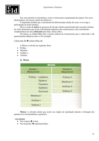 Espiritismo e Genética




        Nos seres primitivos unicelulares, ocorre a mitose para a perpetuação da espécie. Nos seres
pluricelulares, ela ocorre a partir da célula-ovo.
        É importante lembrar que o mecanismo de diferenciação celular dos seres vivos exige a
participação do ácido nucléico.
        Dá-se o nome de mitose ao processo de divisão celular caracterizado pela sucessão contínua
de vários fenômenos que levam à distribuição eqüitativa dos cromossomos e dos constituintes
citoplasmáticos de uma célula-mãe para duas células-filhas.
        Na mitose, as células-filhas têm o mesmo número de cromossomos que a célula-mãe e são
geneticamente idênticas entre si. Por exemplo:

Célula-mãe 2n      células-filhas 2n.

       A Mitose se divide nas seguintes fases:
   •   Prófase
   •   Metáfase
   •   Anáfase e
   •   Telófase.

       b) Meiose




      Meiose é a divisão celular que ocorre nos órgãos de reprodução durante a formação dos
gametas (ou correspondentes a gametas):

- nos animais:
    • Nos ovários    óvulos
    • Nos testículos   espermatozóides.




                                                                                                21
 