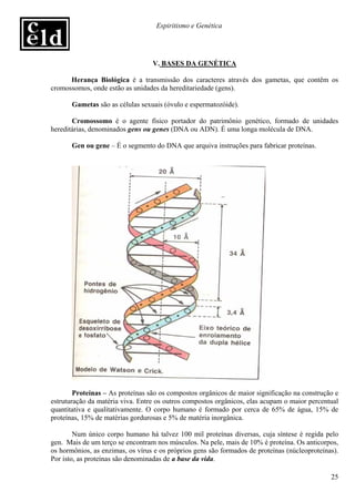 Espiritismo e Genética




                                  V. BASES DA GENÉTICA

      Herança Biológica é a transmissão dos caracteres através dos gametas, que contêm os
cromossomos, onde estão as unidades da hereditariedade (gens).

       Gametas são as células sexuais (óvulo e espermatozóide).

       Cromossomo é o agente físico portador do patrimônio genético, formado de unidades
hereditárias, denominados gens ou genes (DNA ou ADN). É uma longa molécula de DNA.

       Gen ou gene – É o segmento do DNA que arquiva instruções para fabricar proteínas.




        Proteínas – As proteínas são os compostos orgânicos de maior significação na construção e
estruturação da matéria viva. Entre os outros compostos orgânicos, elas acupam o maior percentual
quantitativa e qualitativamente. O corpo humano é formado por cerca de 65% de água, 15% de
proteínas, 15% de matérias gordurosas e 5% de matéria inorgânica.

        Num único corpo humano há talvez 100 mil proteínas diversas, cuja síntese é regida pelo
gen. Mais de um terço se encontram nos músculos. Na pele, mais de 10% é proteína. Os anticorpos,
os hormônios, as enzimas, os vírus e os próprios gens são formados de proteínas (núcleoproteínas).
Por isto, as proteínas são denominadas de a base da vida.

                                                                                               25
 