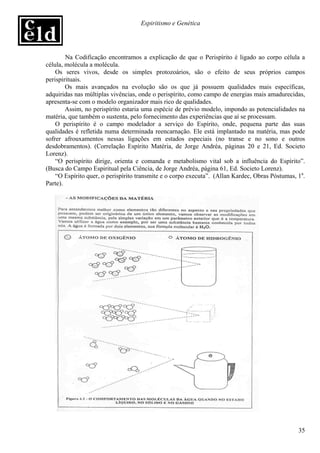 Espiritismo e Genética




        Na Codificação encontramos a explicação de que o Perispírito é ligado ao corpo célula a
célula, molécula a molécula.
    Os seres vivos, desde os simples protozoários, são o efeito de seus próprios campos
perispirituais.
        Os mais avançados na evolução são os que já possuem qualidades mais específicas,
adquiridas nas múltiplas vivências, onde o perispírito, como campo de energias mais amadurecidas,
apresenta-se com o modelo organizador mais rico de qualidades.
        Assim, no perispírito estaria uma espécie de prévio modelo, impondo as potencialidades na
matéria, que também o sustenta, pelo fornecimento das experiências que aí se processam.
    O perispírito é o campo modelador a serviço do Espírito, onde, pequena parte das suas
qualidades é refletida numa determinada reencarnação. Ele está implantado na matéria, mas pode
sofrer afrouxamentos nessas ligações em estados especiais (no transe e no sono e outros
desdobramentos). (Correlação Espírito Matéria, de Jorge Andréa, páginas 20 e 21, Ed. Societo
Lorenz).
    “O perispírito dirige, orienta e comanda e metabolismo vital sob a influência do Espírito”.
(Busca do Campo Espiritual pela Ciência, de Jorge Andréa, página 61, Ed. Societo Lorenz).
    “O Espírito quer, o perispírito transmite e o corpo executa”. (Allan Kardec, Obras Póstumas, 1a.
Parte).




                                                                                                 35
 