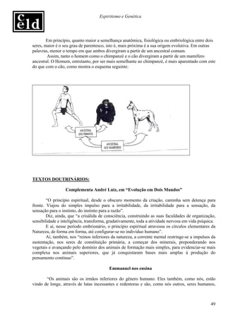 Espiritismo e Genética




        Em princípio, quanto maior a semelhança anatômica, fisiológica ou embriológica entre dois
seres, maior é o seu grau de parentesco, isto é, mais próxima é a sua origem evolutiva. Em outras
palavras, menor o tempo em que ambos divergiram a partir de um ancestral comum.
        Assim, tanto o homem como o chimpanzé e o cão divergiram a partir de um mamífero
ancestral. O Homem, entretanto, por ser mais semelhante ao chimpanzé, é mais aparentado com este
do que com o cão, como mostra o esquema seguinte:




TEXTOS DOUTRINÁRIOS:

                  Complementa André Luiz, em “Evolução em Dois Mundos”

        “O princípio espiritual, desde o obscuro momento da criação, caminha sem detença para
frente. Viajou do simples impulso para a irritabilidade, da irritabilidade para a sensação, da
sensação para o instinto, do instinto para a razão”.
        Diz, ainda, que “a crisálida de consciência, construindo as suas faculdades de organização,
sensibilidade e inteligência, transforma, gradativamente, toda a atividade nervosa em vida psíquica.
        E aí, nesse período embrionário, o princípio espiritual atravessa os círculos elementares da
Natureza, de forma em forma, até configurar-se no indivíduo humano”.
        Aí, também, nos “reinos inferiores da natureza, a corrente mental restringe-se a impulsos da
sustentação, nos seres de constituição primária, a começar dos minerais, preponderando nos
vegetais e avançando pelo domínio dos animais de formação mais simples, para evidenciar-se mais
complexa nos animais superiores, que já conquistaram bases mais amplas à produção do
pensamento contínuo”.

                                          Emmanuel nos ensina

       “Os animais são os irmãos inferiores do gênero humano. Eles também, como nós, estão
vindo de longe, através de lutas incessantes e redentoras e são, como nós outros, seres humanos,



                                                                                                 49
 