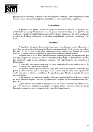 Espiritismo e Genética




propagação por brotamento de galhos ou por mudas (galhos com raízes) é uma ocorrência bastante
comum. Devido a isso, a reprodução assexuada chama-se também reprodução vegetativa.


                                            Gametogênese

       A produção dos gametas ocorre nas glândulas sexuais ou gônadas. A produção dos
espermatozóides, ou espermatogênese, se dá na gônada masculina (testículo) e a produção dos
óvulos, ou ovulogênese, na glândula feminina (ovário). Os dois mecanismos são muito semelhantes
e podem ser divididos basicamente em três fases: multiplicação, crescimento e maturação (Fig.
26.4).

                                             Fecundação

        A fecundação é a reunião do espermatozóide com o óvulo, formando o zigoto. Essa união é
específica: um espermatozóide penetra, geralmente, apenas em óvulos das fêmeas de sua espécie.
Isto ocorre devido à presença de proteínas no espermatozóide e na membrana do óvulo que reagem
uma com a outra de maneira complementar, garantindo a adesão entre os dois gametas.
        Nos mamíferos, o óvulo possui na superfície uma camada gelatinosa, a zona pelúcida e, por
fora dela, um grupo de células que forma a coroa radiada (Fig. 26.5) Tais barreiras são vencidas,
respectivamente, graças a duas substâncias produzidas pelo espermatozóide: a espermolizina e a
hialuronidase.
        A penetração compreende o momento em que o espermatozóide mais próximo, depois de
vencer as barreiras, toca a superfície do óvulo.
        Em algumas espécies, podem formar-se, neste ponto de contato, dobras da membrana, que
puxam a célula masculina para o centro. (Fig. 26.5). Logo em seguida, forma-se na superfície do
óvulo uma capa resistente, a membrana de fecundação, que dificulta a entrada de outros
espermatozóides.
        A última etapa é a cariogamia, quando o núcleo do espermatozóide se funde com o núcleo
do óvulo, formando o zigoto. Este sofre logo em seguida a primeira mitose de seu desenvolvimento.
(Fig. 26.5).
        Quanto ao local onde ocorre, a fecundação pode ser externa ou interna. No primeiro caso,
que ocorre com muitos invertebrados aquáticos, com alguns peixes e anfíbios, o macho e a fêmea
lançam seus gametas na água e o encontro entre eles se faz fora dos corpos.




                                                                                              63
 