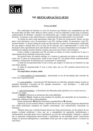 Espiritismo e Genética




                          XII. REENCARNAÇÃO E SEXO


                                          O Sexo do Bebê

        São conhecidos de literatura os casos de monarcas que baniram suas companheiras por não
lhe terem dado um filho varão. Motivos outros à parte, se esta era realmente a razão, hoje os mínimos
conhecimentos de Biologia e Genética nos demonstram que a mulher sempre produzirá um óvulo
feminino. Ao homem, é que caberá fornecer o espermatozóide que determinará o sexo do bebê.
        As células de nosso corpo apresentam, todas elas, 23 pares de cromossomos. Destes, um dos
pares é que determina o sexo. Se possuirmos o par XX, seremos mulher. Se possuirmos o par XY,
seremos homem. As únicas células do corpo que não possuem 23 pares de cromossomos, totalizando
46, mas apenas a metade deles (23), ou seja, um de cada par, são o espermatozóide e o óvulo. Esta
formação é feita especialmente para cada metade encontrar o seu par correspondente na concepção. O
fenômeno de redução acontece durante a meiose, que ocorre nos ovários e nos testículos.
        Como a mulher se apresenta com XX em todas as células, no óvulo só poderá ter X, que é o
representante do par chamado cromossomo sexual.
        Da mesma forma, de maneira análoga, se o homem se apresenta em todas as células de seu
corpo com 23 pares de cromossomos, sendo no par sexual XY, ele poderá formar espermatozóides
contendo o cromossomo X (feminino) ou o cromossomo Y (masculino).
        A união de um espermatozóide X com o óvulo, que sempre é X, dará um ovo feminino ou seja
uma futura menina.
        A união de espermatozóide Y com o óvulo, dará, um ovo XY, portanto desenvolverá um
corpo masculino.
        No corpo físico, teremos, então:

       a. o sexo genético ou cromossômico - determinado no ato da fecundação pelo encontro do
óvulo com o espermatozóide;

        b. o sexo gonádico – a presença do XX determinará, no indivíduo, gônadas (órgãos sexuais ou
genitália) femininas; a presença de XY, gônadas masculinas – sexo fenotípico - é dado pela
aparência – masculina ou feminina.

        c. ação dos hormônios - os hormônios são fabricados pelas glândulas de secreção interna e
lançados no sangue.
        A Hipófise influencia no mecanismo das outras glândulas.
        A glândula Pineal, situada na zona mediana do encéfalo, por intermédio de seu hormônio, a
melatonina, influencia toda a cadeia glandular.
        Pineal (melatonina) Hipófise (hormônios gonadotróficos)          Gônadas.
        Apesar de, em sua essência íntima, o espírito não ter sexo, as vivências pregressas determinam
uma nítida polarização energética do espírito reencarnante, com características masculinas ou
femininas.
        Podemos dizer que o espírito humano possui nas forças psicossexuais, um dos pilares da sua
própria evolução intelectual e ética, por ser a conseqüência de aquisições multimilenares e
continuamente renovadas pelas novas experiências no ciclo das reencarnações. Enquanto o espírito
não se apresentar integralmente desenvolvido e equilibrado na sua totalidade sexual, exteriorizará
sempre, no processo palingenésico, a polaridade sexual que está a exigir experiência e vivências na
zona física.
                                                                                                    56
 
