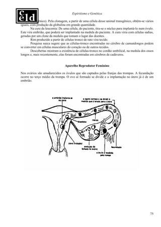 Espiritismo e Genética

        transgênico). Pela clonagem, a partir de uma célula desse animal transgênico, obtêm-se vários
iguais, com produção da globulina em grande quantidade.
        Na cura da leucemia: De uma célula, do paciente, tira-se o núcleo para implantá-lo num óvulo.
Este vira embrião, que poderá ser implantado na medula do paciente. A cura viria com células sadias,
geradas por um clone da medula que tomam o lugar das doentes.
        Rim produzido a partir de células tronco de rato vira tecido.
        Pesquisa sueca sugere que as células-tronco encontradas no cérebro de camundongos podem
se converter em células musculares do coração ou de outros tecidos.
        Descobertas mostram a existência de células-tronco no cordão umbilical, na medula dos ossos
longos e, mais recentemente, elas foram encontradas em cérebros de cadáveres.


                                 Aparelho Reprodutor Feminino

Nos ovários são amadurecidos os óvulos que são captados pelas franjas das trompas. A fecundação
ocorre no terço médio da trompa. O ovo aí formado se divide e a implantação no útero já é de um
embrião.




                                                                                                  75
 